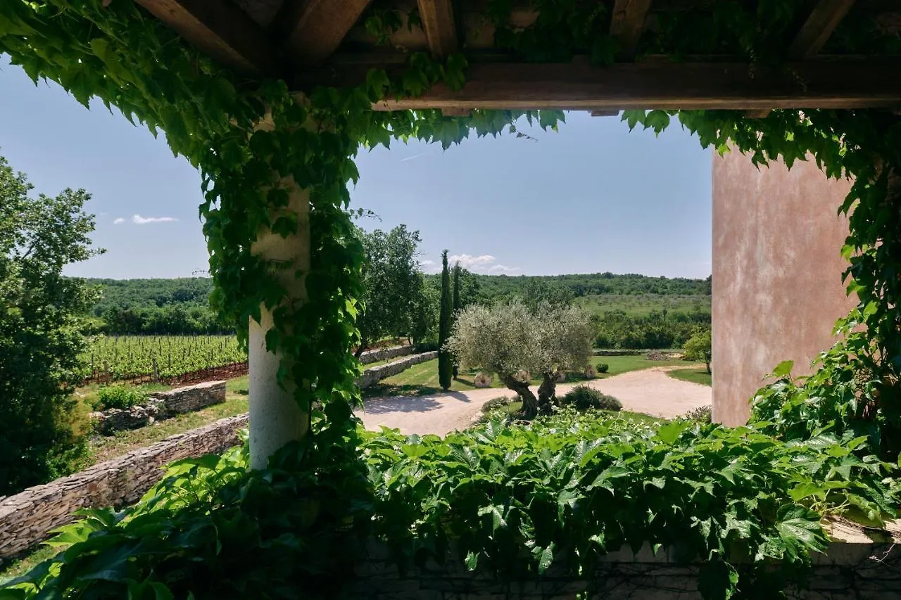 Winery Cuj Bed & Breakfast